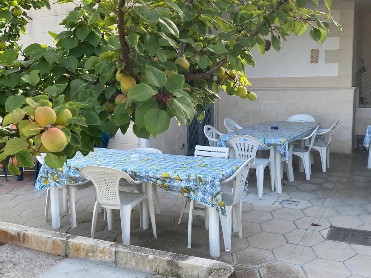 טורה קיאנקה Villa Viola מראה חיצוני תמונה
